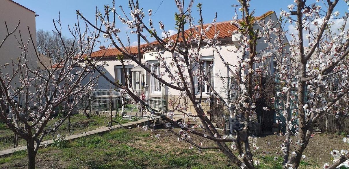 La Maison Du Bonheur Saint-Laurent-de-la-Salanque Exteriér fotografie